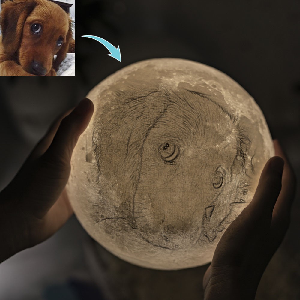 Personalisierte Mondlampe 3D Foto Moonlight Touch Wohnkultur für Hund Katze